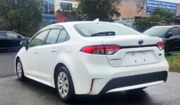 
										Toyota Corolla Hybrid full									