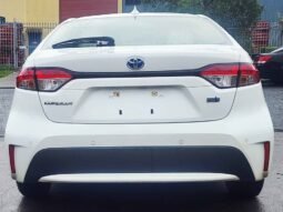 
										Toyota Corolla Hybrid full									